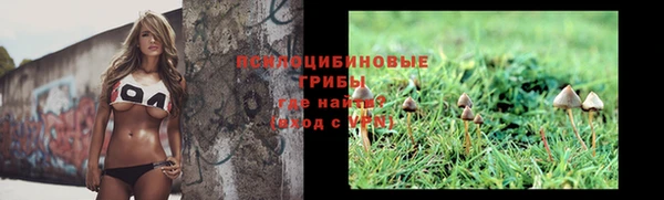 стафф Беломорск