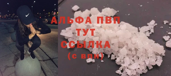 PSILOCYBIN Белокуриха