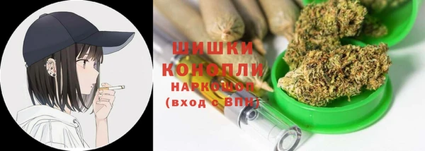 PSILOCYBIN Белокуриха