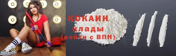PSILOCYBIN Белокуриха