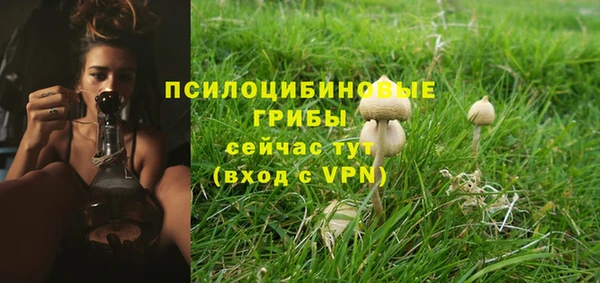 стафф Беломорск