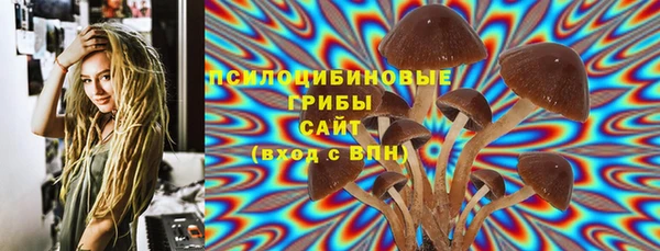стафф Беломорск