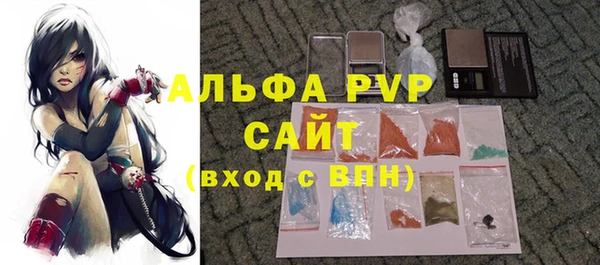 PSILOCYBIN Белокуриха