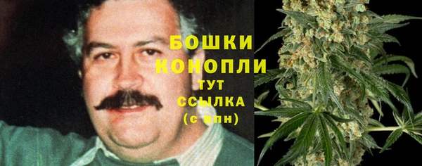 первитин Белоозёрский